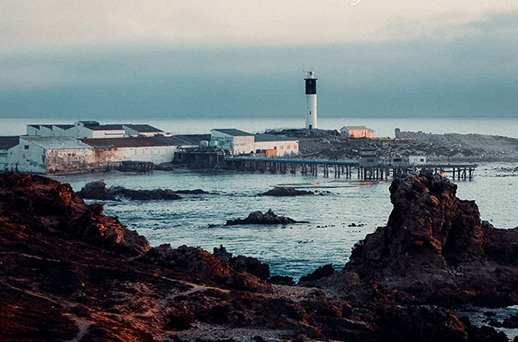 Explore the West Coast Wine Route