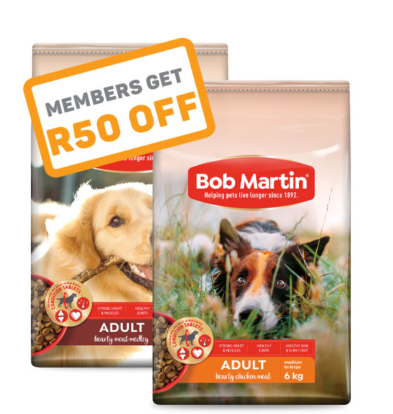 Can Puppy Food Make A Dog Hyper