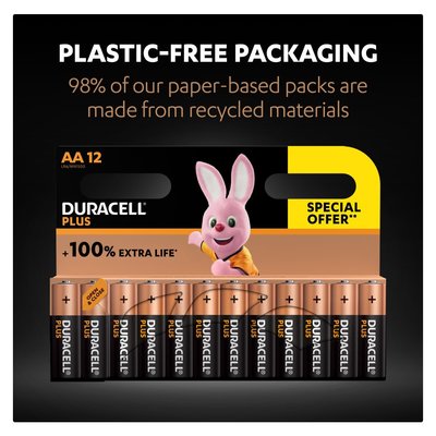 Duracell Plus AA Batteries 12 Pack | PnP