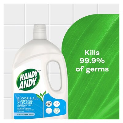 Handy Andy Floor Cleaner Ocean Fresh Fresh 1.5L | PnP