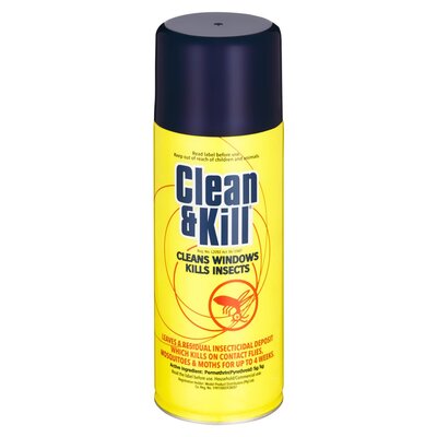 Clean & Kill Insectile 300ml | PnP