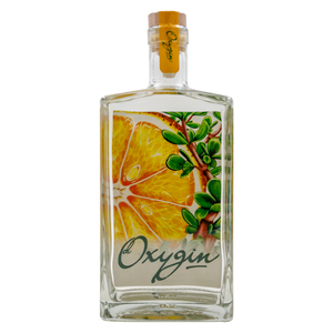 Dioxygin South African Gin 750ml | PnP