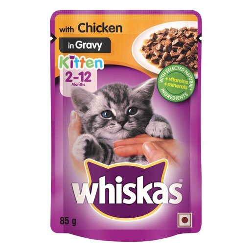 How to give shop whiskas to kitten