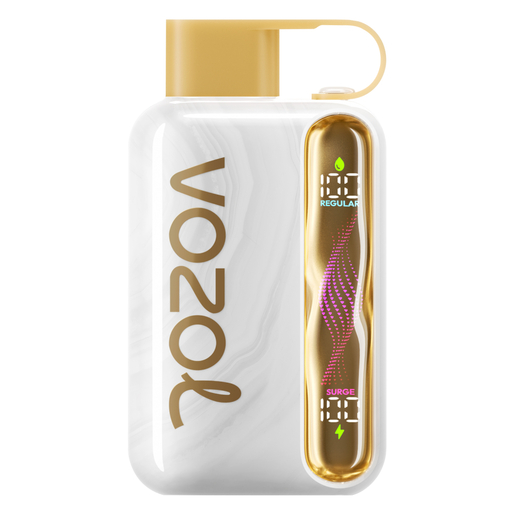 elfbar elfa kaufen Peach Ice Flavor Vape | VOZOL RAVE 40,000 Puffs LED Display