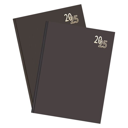 Donau 2025 assorted a4 page a day regency pnp