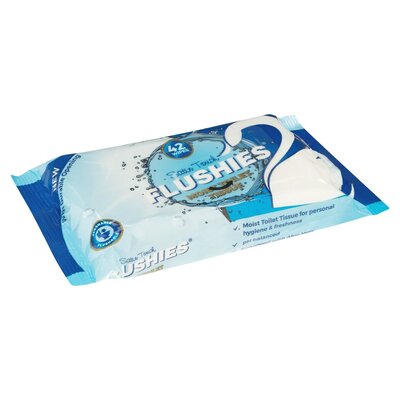 satin-touch-flushies-moist-toilet-wipes-42-pack-pnp