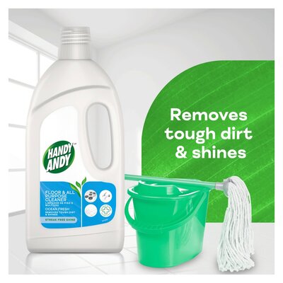 Handy Andy Ocean Fresh Floor & Multipurpose Cleaner 750ml | PnP