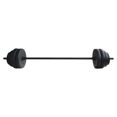 Livefit Barbell Disc 2.5kg | PnP