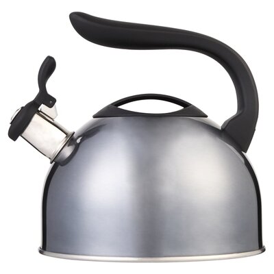 O2 Cook Metallic Whistling Kettle 3L