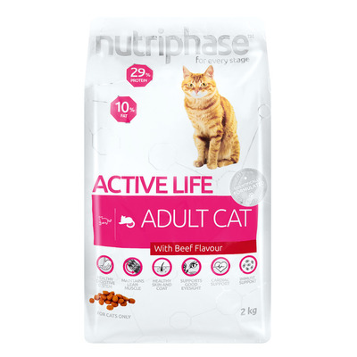 dog toys good for teeth