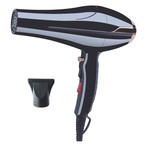 220v hair dryer best sale