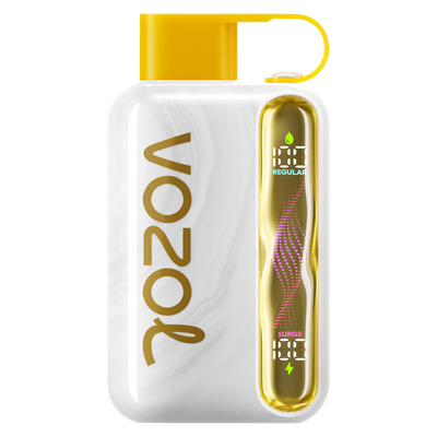 elfbar elfa kaufen Vozol Star Peach Ice 40000 Puff Disposable Vape