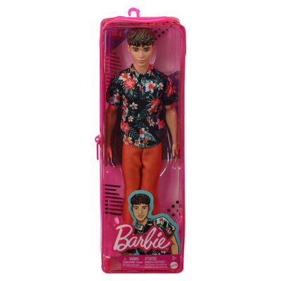 Barbie Assorted Fashionist Ken Doll | PnP