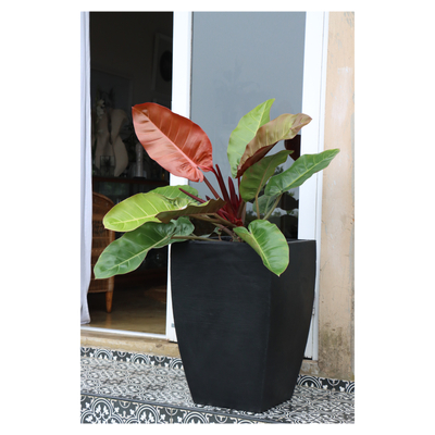 Addis Graphite Palermo Thin Plant Pot 300mm | Smart Price Specials