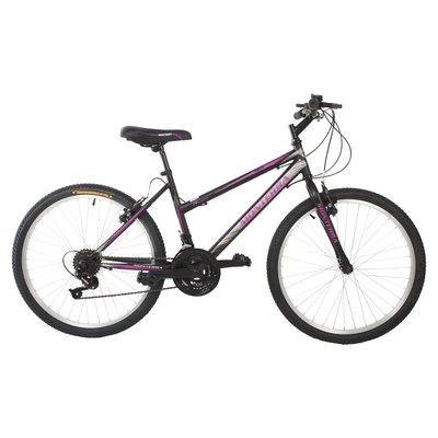 24 best sale lady bike