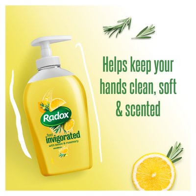 Radox Hand Wash Feel Invigorated 300ml | PnP