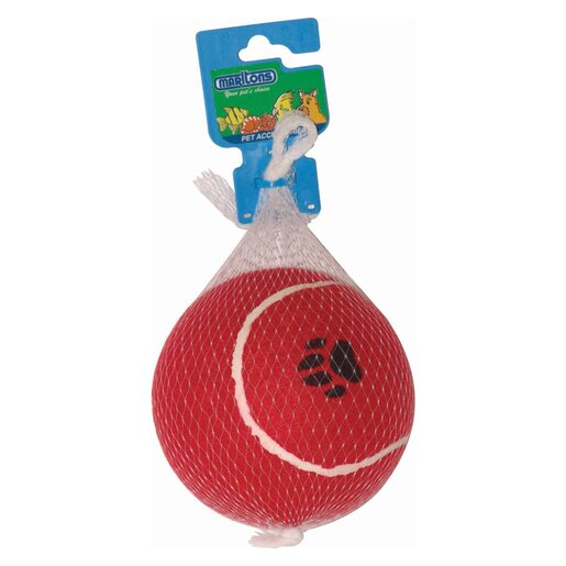 Extra large tennis ball for outlet dogs