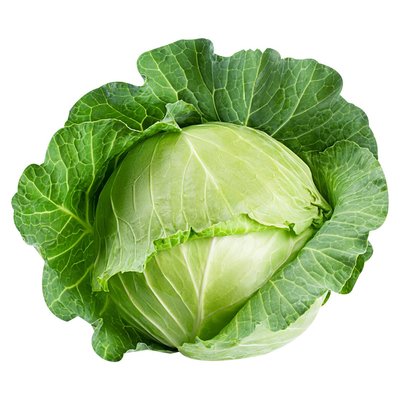 PnP Cabbage Head