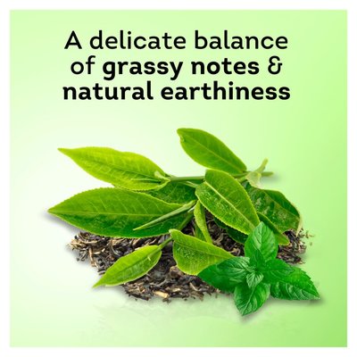 Lipton Clear Green Mint Flavoured Green Tea 25 Pack | Smart Price ...