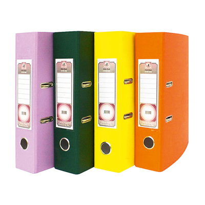 Files Assorted Pvc Ringbinder Fashion | PnP