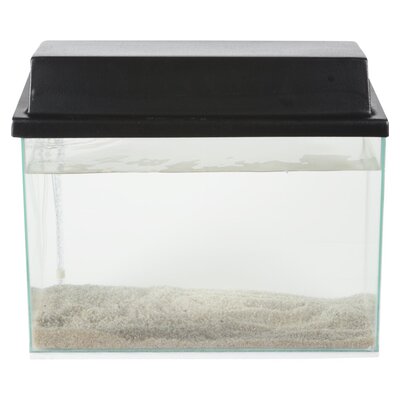 fish tank accessories pretoria Mechpia 13 Pieces Aquarium Decorations Kit, Decorations Set Small Resin Castle and Rockery Betta Fish Cave Hideout Coral Artificial Plastic Plants Ornament Pet Supplies 3ft Fish Tank STARTER KIT